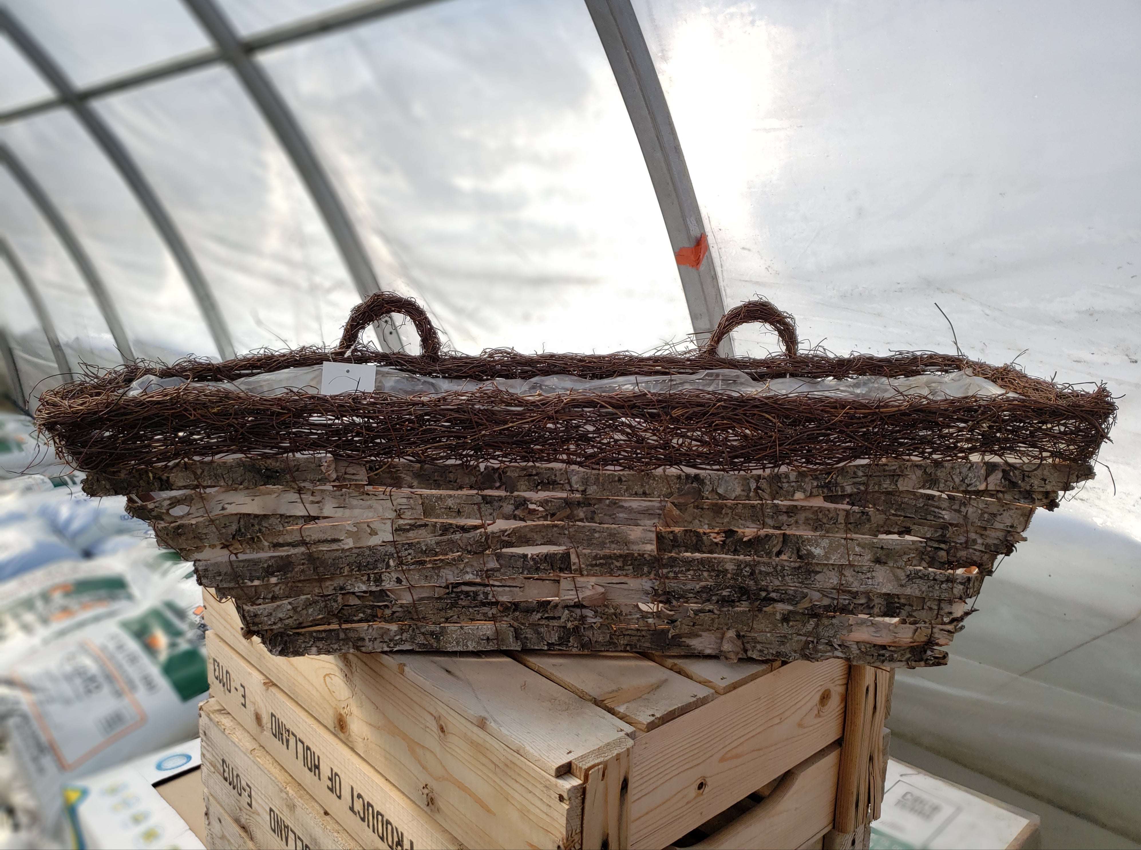 Curated visual reference: Visual Reference: Birchbark Window Box